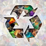 Recykling odpadów - wlaczoszczedzanie.pl - Depositphotos /@ lightsource