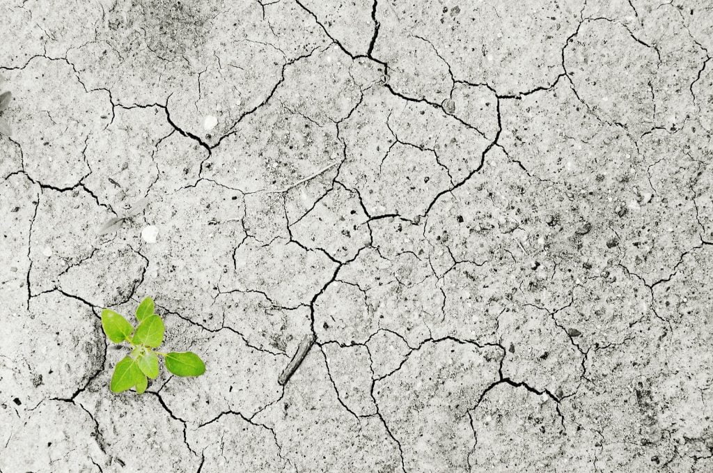 W Polsce coraz częściej odczuwamy negatywny wpływ zmian klimatu na nasze zdrowie