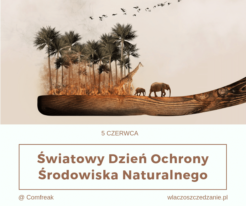 Światowy Dzień Ochrony Środowiska Naturalnego, zwany też jako Światowy Dzień Środowiska