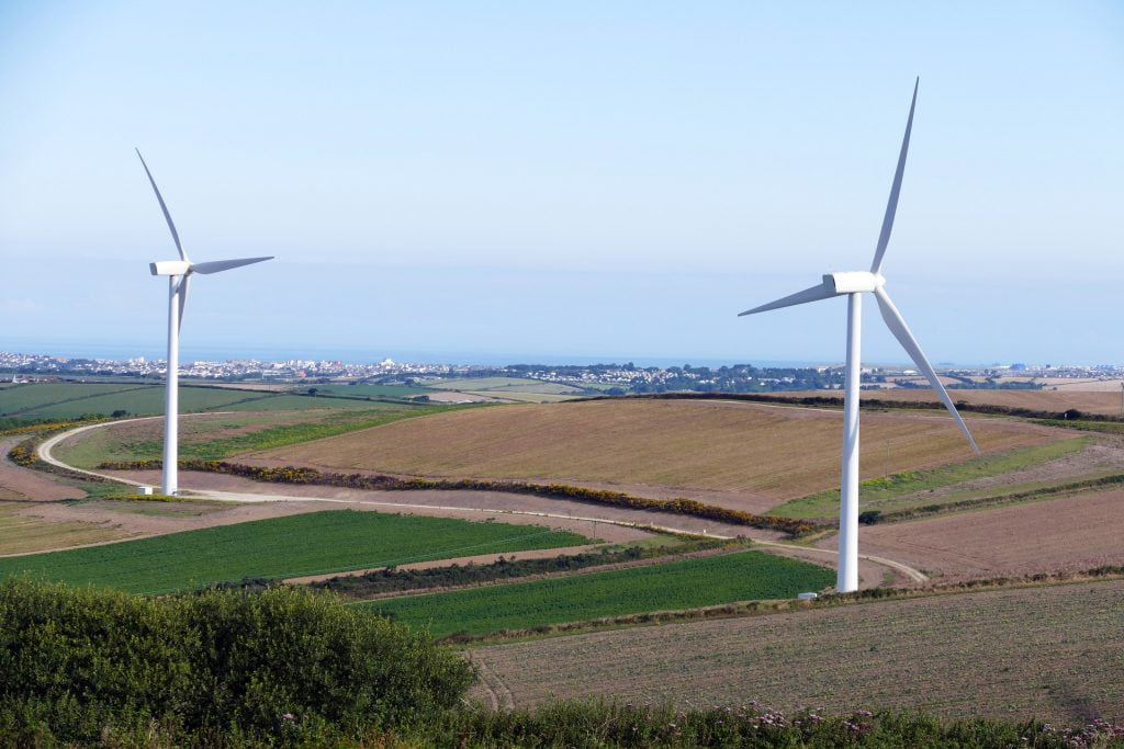 Z badań wynika, że farmy wiatrowe nie szkodzą pszczołom