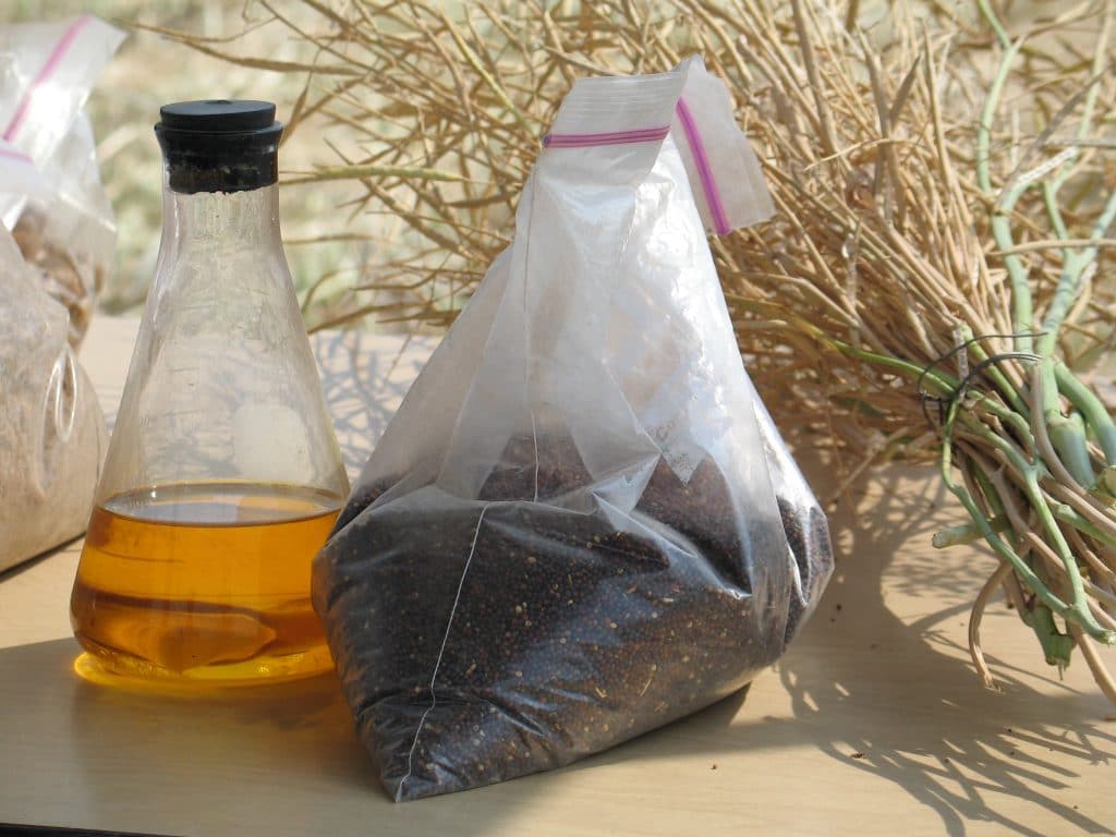 Biopaliwo