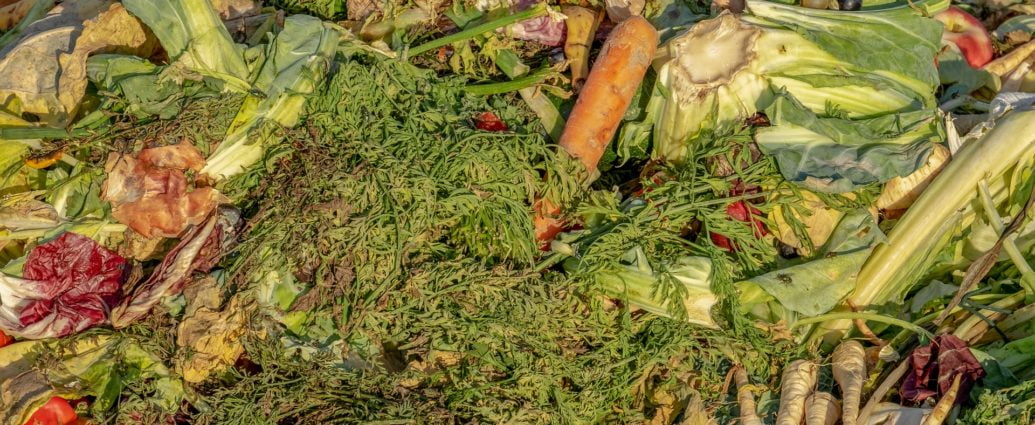 Przeciętna czteroosobowa rodzina wrzuca do śmieci żywność o wartości 2,5 tys. zł rocznie