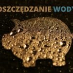 Oszczędzanie wody w firmie, domu i ogrodzie