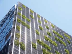 Zielone fasady i fałszywe etykiety jako ekologiczne mydlenie oczu