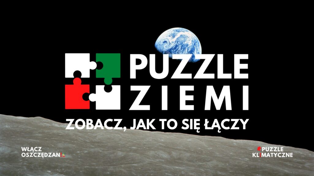 Puzzle Ziemi